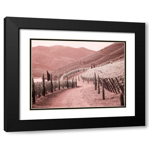 Portugal-Douro Valley-Backcountry road through the vineyards Black Modern Wood Framed Art Print with Double Matting by Eggers, Terry