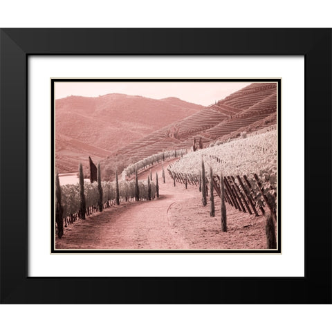 Portugal-Douro Valley-Backcountry road through the vineyards Black Modern Wood Framed Art Print with Double Matting by Eggers, Terry