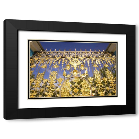 Russia, Pushkin Gate detail at Catherine Palace Black Modern Wood Framed Art Print with Double Matting by Ross, Nancy ,  Steve