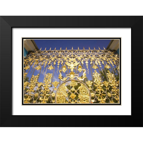 Russia, Pushkin Gate detail at Catherine Palace Black Modern Wood Framed Art Print with Double Matting by Ross, Nancy ,  Steve