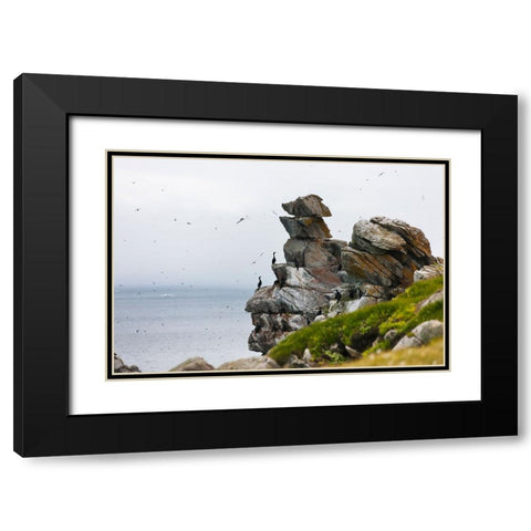 Cormorants and seagulls on rock pile-Kolyuchin Island-once an important Russian Polar Research Stat Black Modern Wood Framed Art Print with Double Matting by Su, Keren