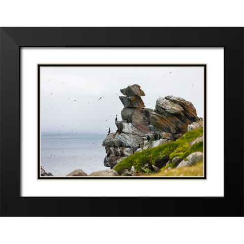 Cormorants and seagulls on rock pile-Kolyuchin Island-once an important Russian Polar Research Stat Black Modern Wood Framed Art Print with Double Matting by Su, Keren