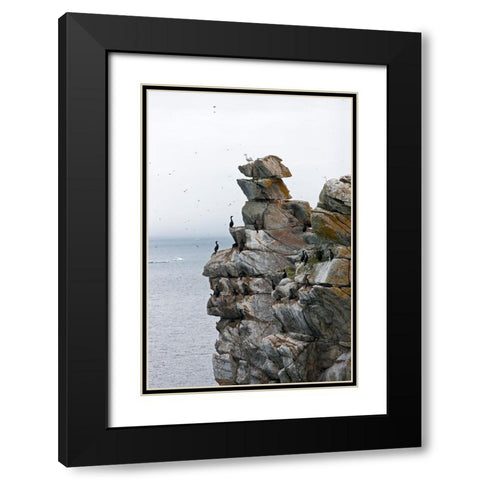 Cormorants and seagulls on rock pile-Kolyuchin Island-once an important Russian Polar Research Stat Black Modern Wood Framed Art Print with Double Matting by Su, Keren