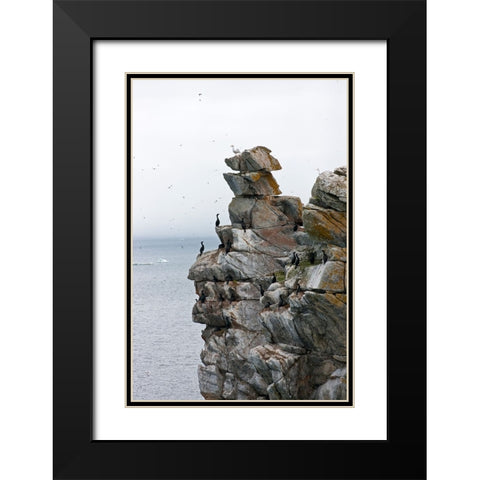 Cormorants and seagulls on rock pile-Kolyuchin Island-once an important Russian Polar Research Stat Black Modern Wood Framed Art Print with Double Matting by Su, Keren