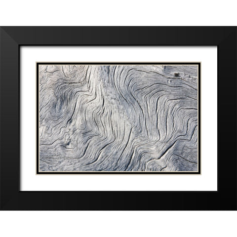Drift wood pattern-Cape Onman-Chukchi Sea-Russia Far East Black Modern Wood Framed Art Print with Double Matting by Su, Keren