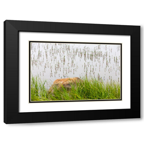 Plant and rock in the glacier river-Yttygran Island-Bering Sea-Russia Far East Black Modern Wood Framed Art Print with Double Matting by Su, Keren