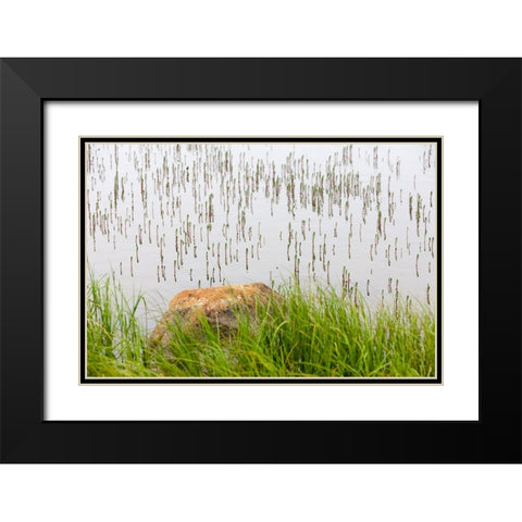 Plant and rock in the glacier river-Yttygran Island-Bering Sea-Russia Far East Black Modern Wood Framed Art Print with Double Matting by Su, Keren