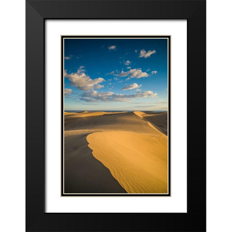 Spain-Canary Islands-Gran Canaria Island-Maspalomas-Maspalomas Dunes National Park Black Modern Wood Framed Art Print with Double Matting by Bibikow, Walter