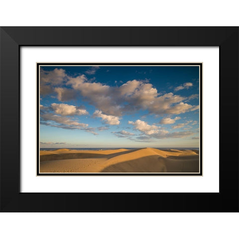Spain-Canary Islands-Gran Canaria Island-Maspalomas-Maspalomas Dunes National Park Black Modern Wood Framed Art Print with Double Matting by Bibikow, Walter