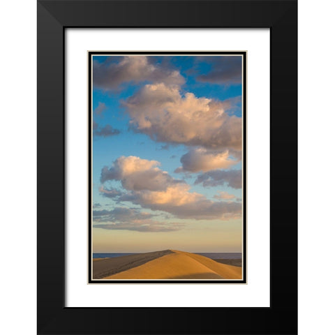 Spain-Canary Islands-Gran Canaria Island-Maspalomas-Maspalomas Dunes National Park Black Modern Wood Framed Art Print with Double Matting by Bibikow, Walter