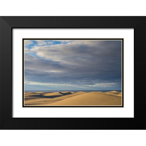 Spain-Canary Islands-Gran Canaria Island-Maspalomas-Maspalomas Dunes National Park Black Modern Wood Framed Art Print with Double Matting by Bibikow, Walter
