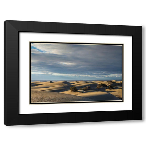 Spain-Canary Islands-Gran Canaria Island-Maspalomas-Maspalomas Dunes National Park Black Modern Wood Framed Art Print with Double Matting by Bibikow, Walter