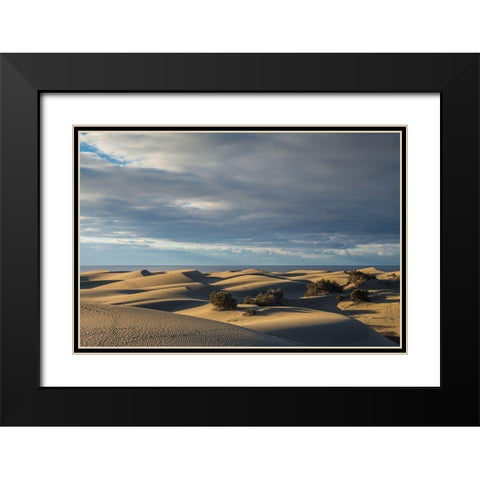 Spain-Canary Islands-Gran Canaria Island-Maspalomas-Maspalomas Dunes National Park Black Modern Wood Framed Art Print with Double Matting by Bibikow, Walter