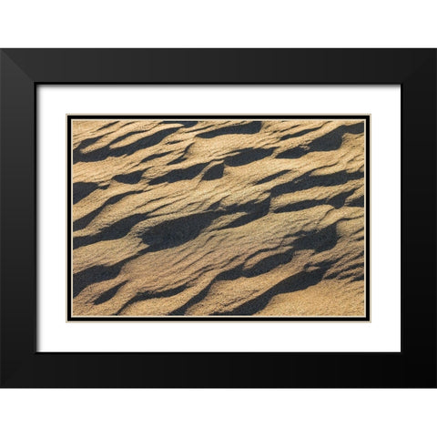 Spain-Canary Islands-Gran Canaria Island-Maspalomas-Maspalomas Dunes National Park Black Modern Wood Framed Art Print with Double Matting by Bibikow, Walter