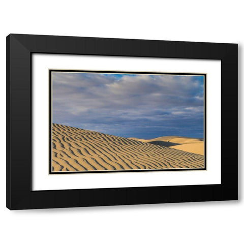 Spain-Canary Islands-Gran Canaria Island-Maspalomas-Maspalomas Dunes National Park Black Modern Wood Framed Art Print with Double Matting by Bibikow, Walter