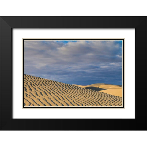 Spain-Canary Islands-Gran Canaria Island-Maspalomas-Maspalomas Dunes National Park Black Modern Wood Framed Art Print with Double Matting by Bibikow, Walter