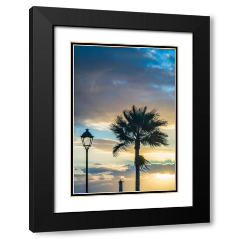 Canary Islands-Fuerteventura Island-Morro Jable-Playa del Matorral beach-palm tree-streetlight Black Modern Wood Framed Art Print with Double Matting by Bibikow, Walter