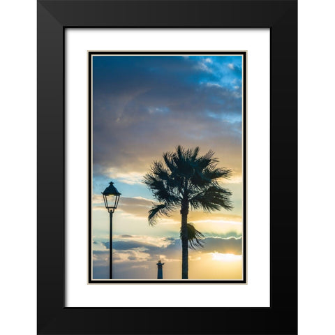 Canary Islands-Fuerteventura Island-Morro Jable-Playa del Matorral beach-palm tree-streetlight Black Modern Wood Framed Art Print with Double Matting by Bibikow, Walter