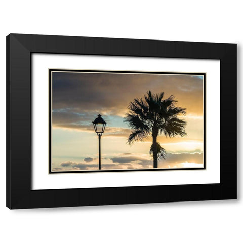 Canary Islands-Fuerteventura Island-Morro Jable-Playa del Matorral beach-palm tree Black Modern Wood Framed Art Print with Double Matting by Bibikow, Walter