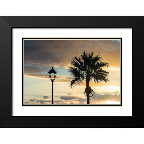 Canary Islands-Fuerteventura Island-Morro Jable-Playa del Matorral beach-palm tree Black Modern Wood Framed Art Print with Double Matting by Bibikow, Walter