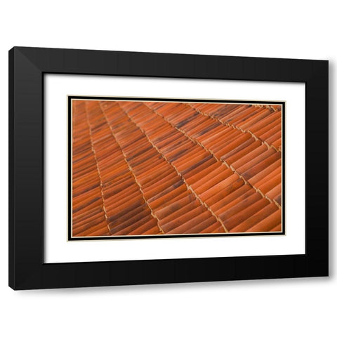 Canary Islands-Fuerteventura Island-La Oliva-Casa de los Coroneles-18th Black Modern Wood Framed Art Print with Double Matting by Bibikow, Walter