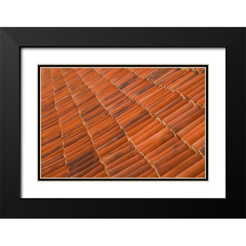 Canary Islands-Fuerteventura Island-La Oliva-Casa de los Coroneles-18th Black Modern Wood Framed Art Print with Double Matting by Bibikow, Walter