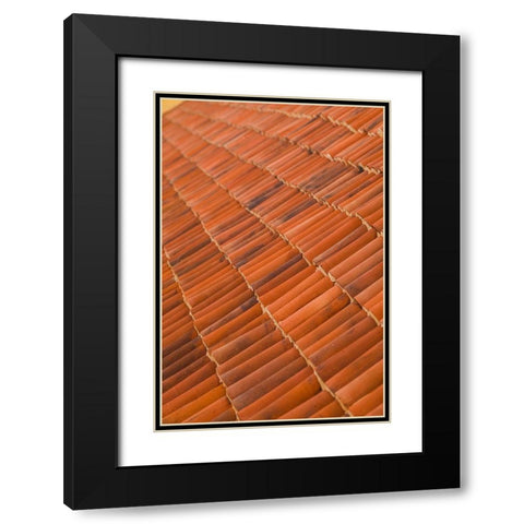 Canary Islands-Fuerteventura Island-La Oliva-Casa de los Coroneles-18th century Black Modern Wood Framed Art Print with Double Matting by Bibikow, Walter