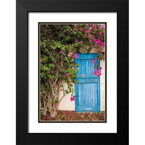 Canary Islands-Fuerteventura Island-La Oliva-blue door of garden shed Black Modern Wood Framed Art Print with Double Matting by Bibikow, Walter