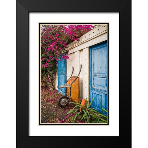 Canary Islands-Fuerteventura Island-La Oliva-blue door of garden shed Black Modern Wood Framed Art Print with Double Matting by Bibikow, Walter