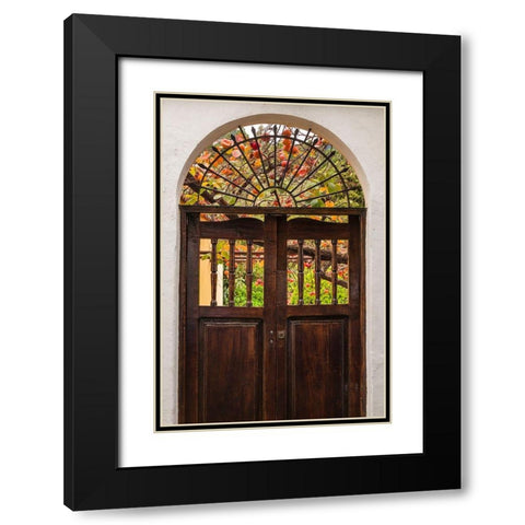 Canary Islands-La Palma Island-Santa Cruz de la Palma-persimmon fruit garden Black Modern Wood Framed Art Print with Double Matting by Bibikow, Walter