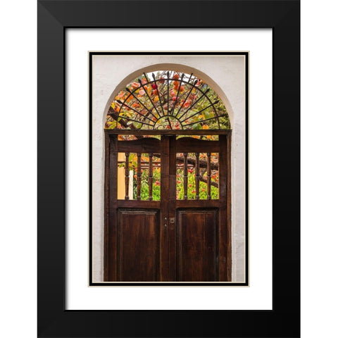 Canary Islands-La Palma Island-Santa Cruz de la Palma-persimmon fruit garden Black Modern Wood Framed Art Print with Double Matting by Bibikow, Walter