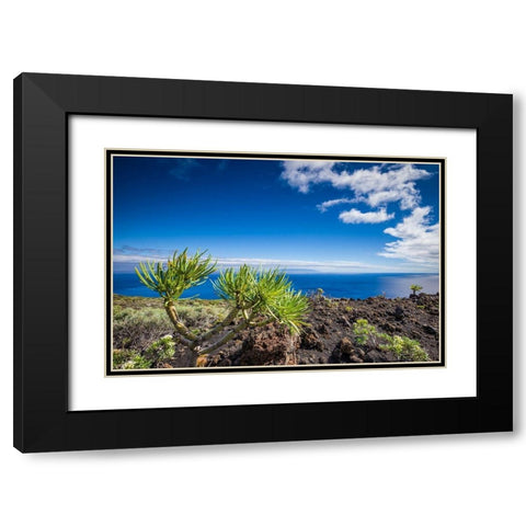 Canary Islands-La Palma Island-Fuencaliente de la Palma-Punta de Fuencaliente-volcanic landscape Black Modern Wood Framed Art Print with Double Matting by Bibikow, Walter