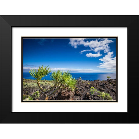 Canary Islands-La Palma Island-Fuencaliente de la Palma-Punta de Fuencaliente-volcanic landscape Black Modern Wood Framed Art Print with Double Matting by Bibikow, Walter