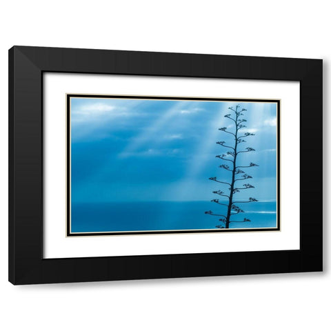 Canary Islands-La Palma Island-Santa Cruz de la Palma-dramatic sky and tree Black Modern Wood Framed Art Print with Double Matting by Bibikow, Walter