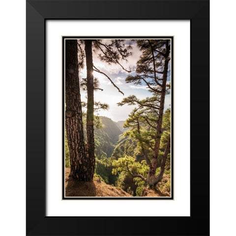 Canary Islands-La Palma Island-Mirador de Garome-elevated coastal view Black Modern Wood Framed Art Print with Double Matting by Bibikow, Walter
