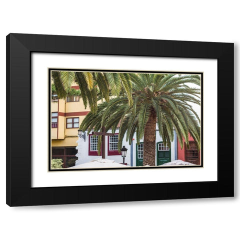 Canary Islands-La Palma Island-Santa Cruz de la Palma-palm tree Black Modern Wood Framed Art Print with Double Matting by Bibikow, Walter