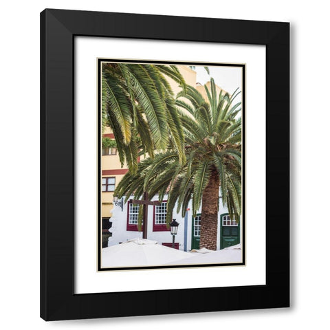 Canary Islands-La Palma Island-Santa Cruz de la Palma-palm tree Black Modern Wood Framed Art Print with Double Matting by Bibikow, Walter