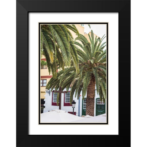 Canary Islands-La Palma Island-Santa Cruz de la Palma-palm tree Black Modern Wood Framed Art Print with Double Matting by Bibikow, Walter
