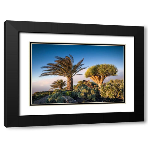 Canary Islands-El Hierro Island-Guarazoca-Mirador de la Pena Black Modern Wood Framed Art Print with Double Matting by Bibikow, Walter