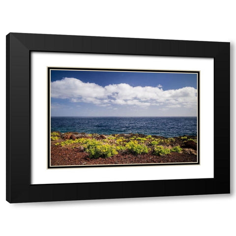 Canary Islands-El Hierro Island-east coast-Caleta-coastal view Black Modern Wood Framed Art Print with Double Matting by Bibikow, Walter