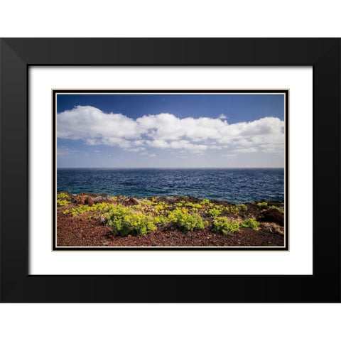 Canary Islands-El Hierro Island-east coast-Caleta-coastal view Black Modern Wood Framed Art Print with Double Matting by Bibikow, Walter
