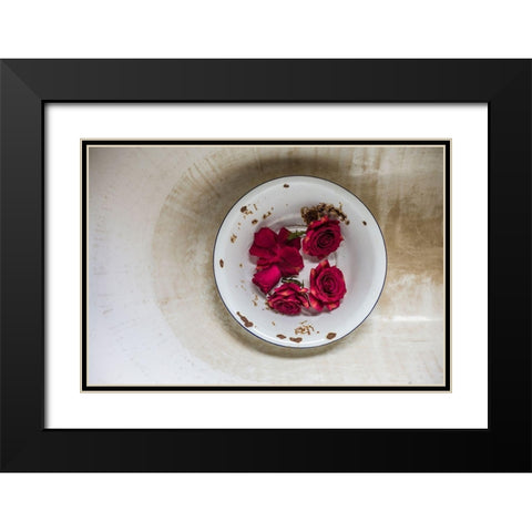 Canary Islands-Tenerife Island-La Orotava-roses in antique dish Black Modern Wood Framed Art Print with Double Matting by Bibikow, Walter