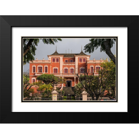 Canary Islands-Tenerife Island-La Orotava-Liceo de Taoro-built in 1928-town social club Black Modern Wood Framed Art Print with Double Matting by Bibikow, Walter