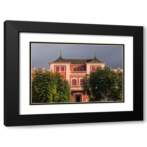 Canary Islands-Tenerife Island-La Orotava-Liceo de Taoro-built in 1928-town social club Black Modern Wood Framed Art Print with Double Matting by Bibikow, Walter