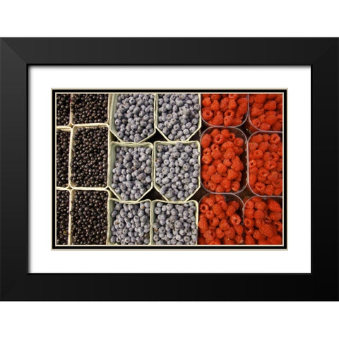 Sweden, Stockholm Berries at the Outdoor Market Black Modern Wood Framed Art Print with Double Matting by Ross, Nancy ,  Steve