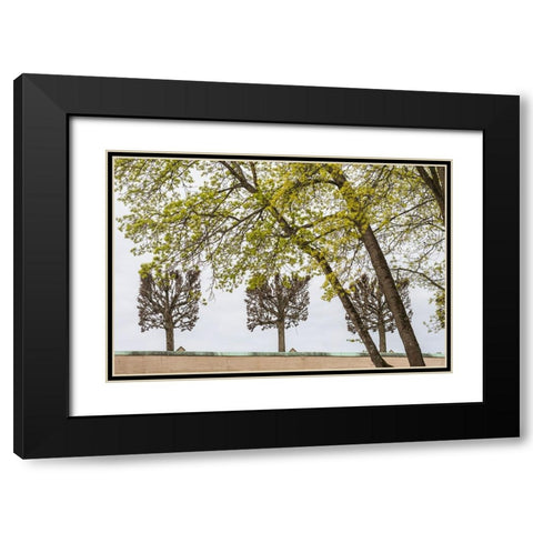 Sweden-Stockholm-trees-early spring Black Modern Wood Framed Art Print with Double Matting by Bibikow, Walter