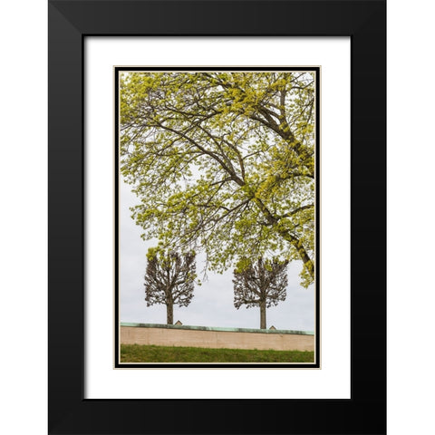 Sweden-Stockholm-trees-early spring Black Modern Wood Framed Art Print with Double Matting by Bibikow, Walter
