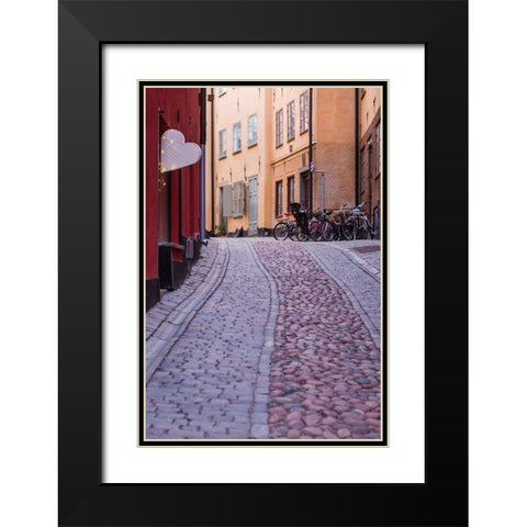 Sweden-Stockholm-Gamla Stan-Old Town-Royal Palace-old town street Black Modern Wood Framed Art Print with Double Matting by Bibikow, Walter