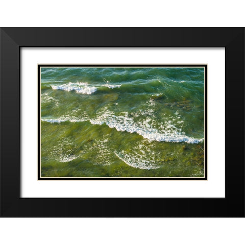 Sweden-Gotland Island-Hogklint-high angle view of the sea from western cliffs Black Modern Wood Framed Art Print with Double Matting by Bibikow, Walter