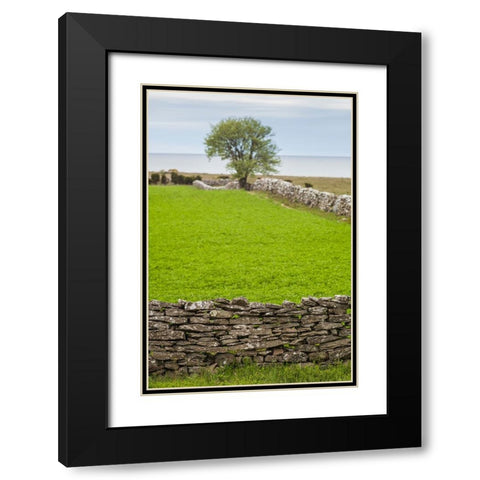 Sweden-Gotland Island-Sundre-stone wall-southern Gotland Black Modern Wood Framed Art Print with Double Matting by Bibikow, Walter